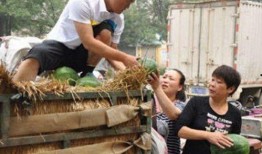 林州市吃瓜最新事件爆料,揭秘背后惊人真相